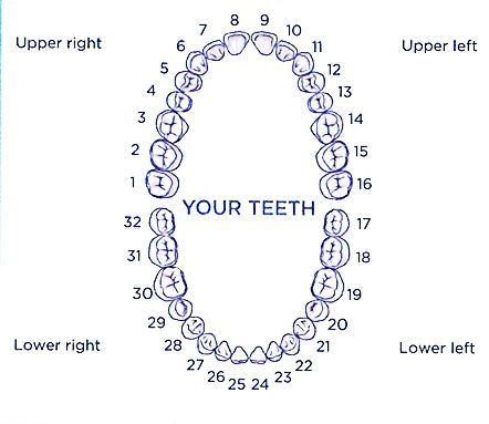 Layered Zirconia