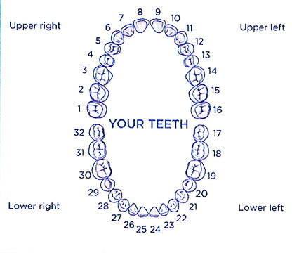 Standard Zirconia